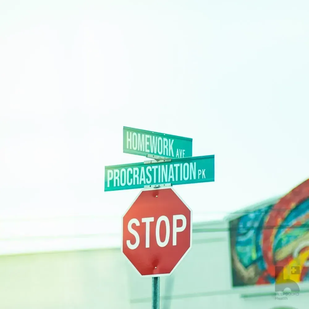 Stop sign below green street signs labeled Homework Ave and Procrastination Pk against a pale sky